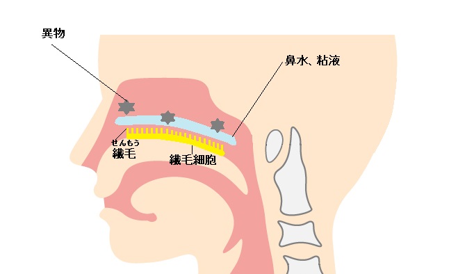 後鼻漏 こうびろう ダエンからマル Lab ラボラトリー ダエンからマル施術院