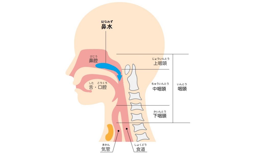 後鼻漏 こうびろう ダエンからマル Lab ラボラトリー ダエンからマル施術院