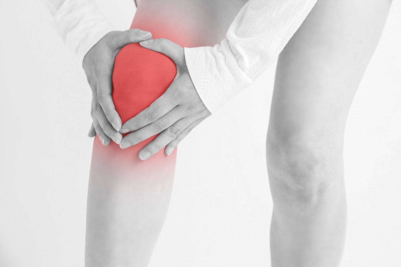 病院で「変形性膝関節症」と言われた膝の痛み、実は鵞足（がそく）の炎症だった｜通院レポート｜ダエンからマル施術院