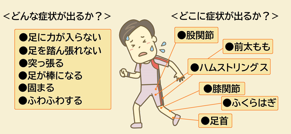 どんな症状がでるか？力が入らない、足を踏ん張れない、足が突っ張る、棒になる、足が固まる、ふわふわする
どこに症状が出るか？股関節、前ふともも、ハムストリングス、膝関節、ふくらはぎ、足首